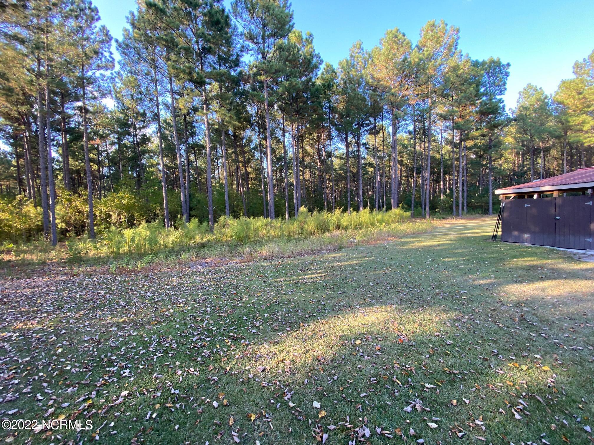 411 Rice Pond Road Elizabethtown, NC 28337 - Photo 40 of 54 Wooded View