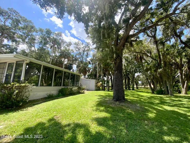 a view of a backyard with large trees