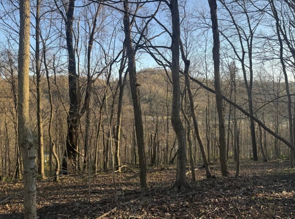 0 Harvey Road & Kessler Road Huntington, WV 25701 - Photo 3 of 5 Gallery Image 3