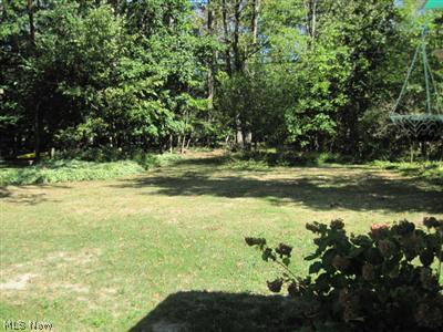 1129 Croyden Road Lyndhurst, OH 44124 - Photo 24 of 25 Enjoy this private treed yard with extra lot.