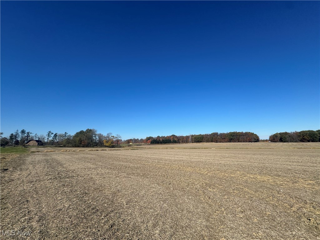Spieth Road Medina, OH 44256 - Photo 18 of 34 View of yard with a rural view