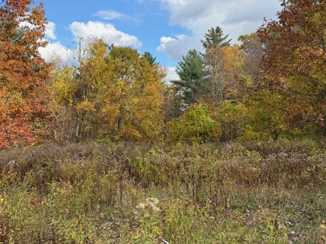 151 Wilker Road Ashburnham, MA 01430 - Photo 2 of 9