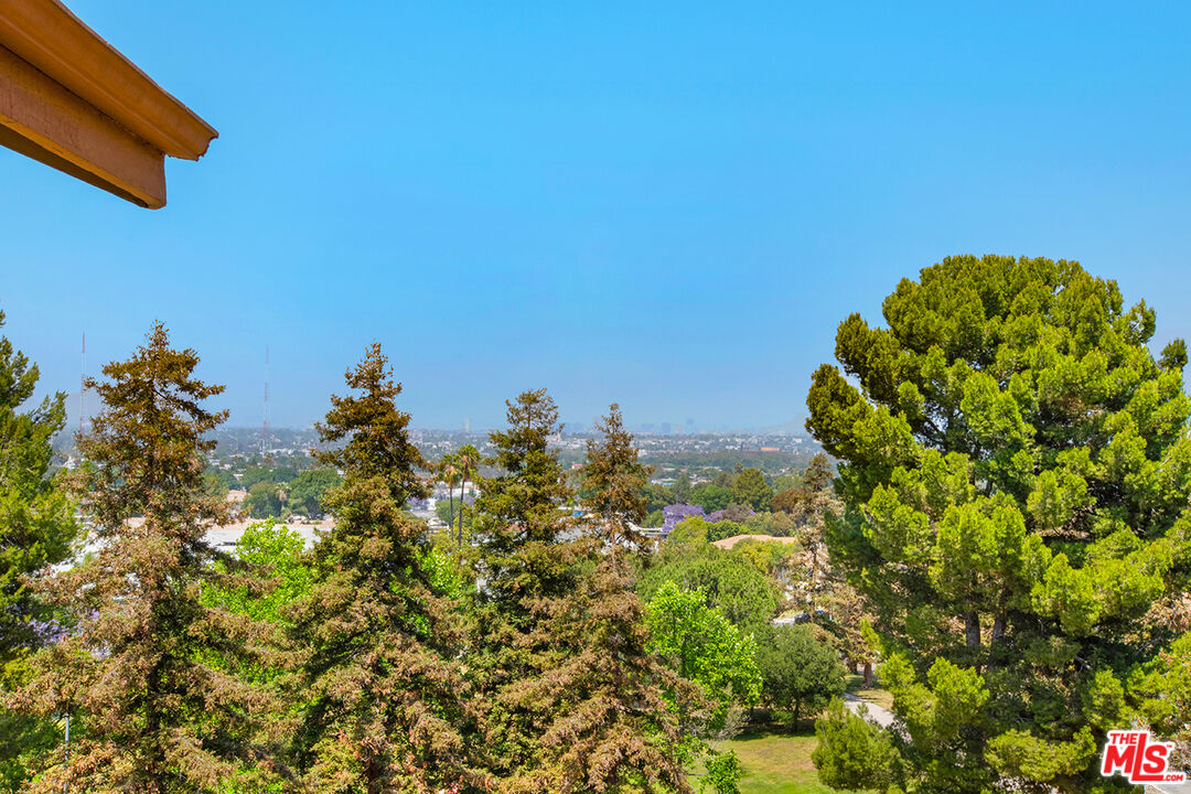 4451 Don Ricardo Drive, Unit 9 Los Angeles, CA 90008 - Photo 7 of 23