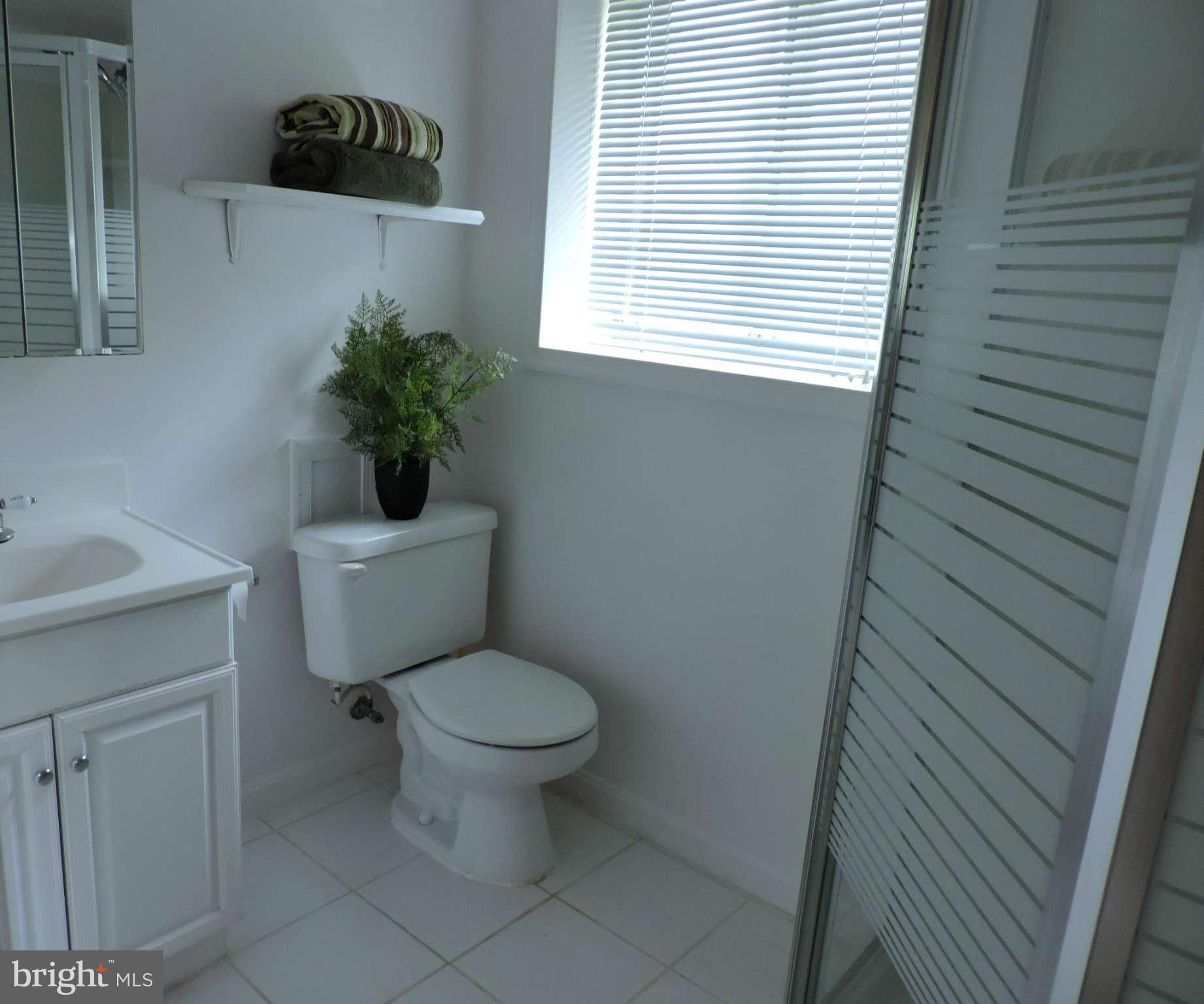 5011 Roslyn Road Annandale, VA 22003 - Photo 23 of 28 a bathroom with a toilet a sink and a window