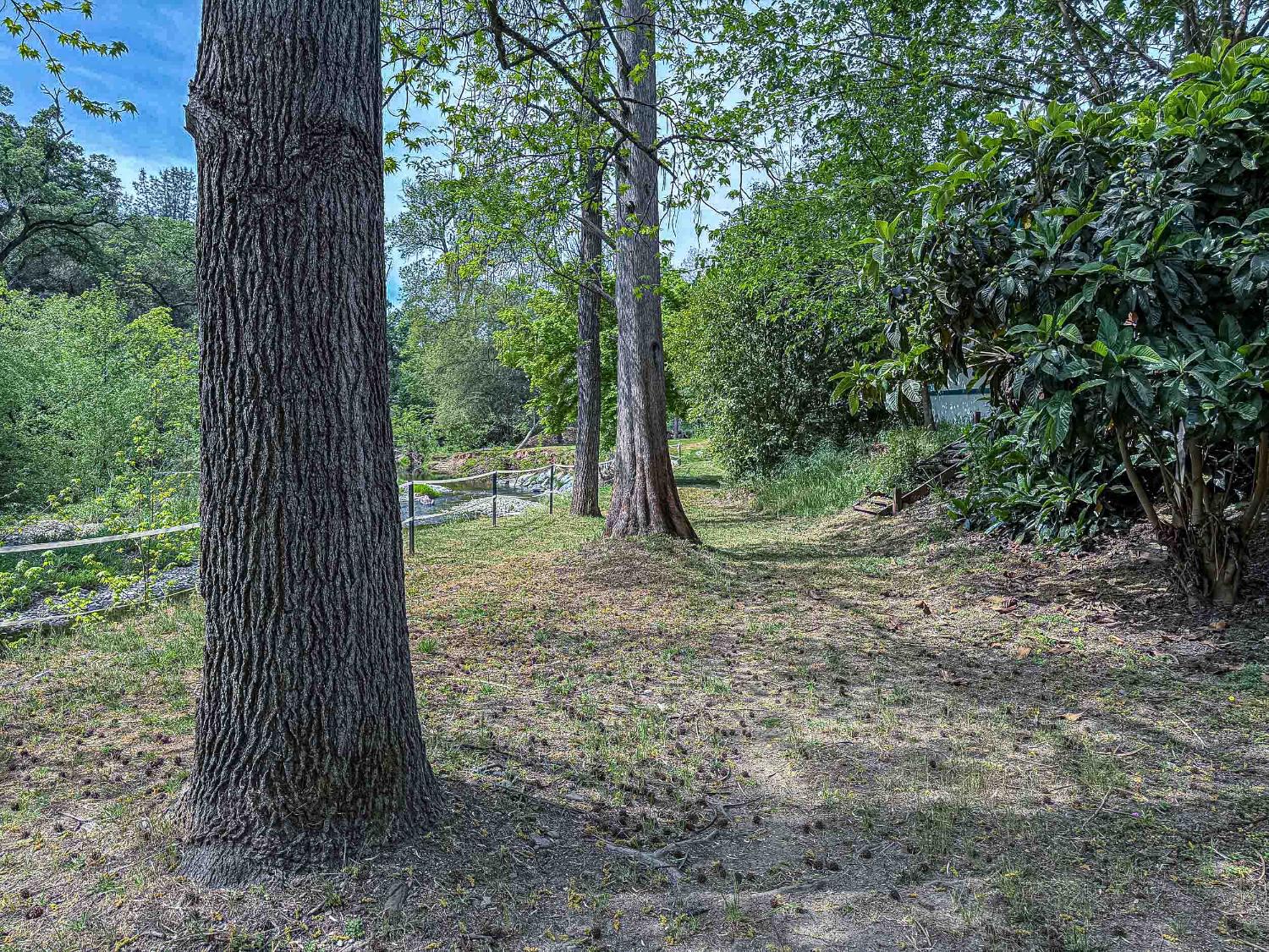 6540 Virginiatown Road, Unit 30 Newcastle, CA 95658 - Photo 22 of 24