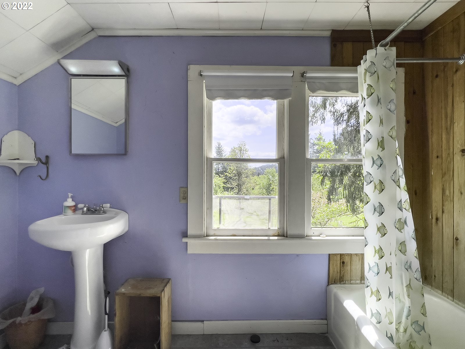 54647 Southwest Patton Valley Road Gaston, OR 97119 - Photo 21 of 29 a bathroom with a sink toilet and a mirror