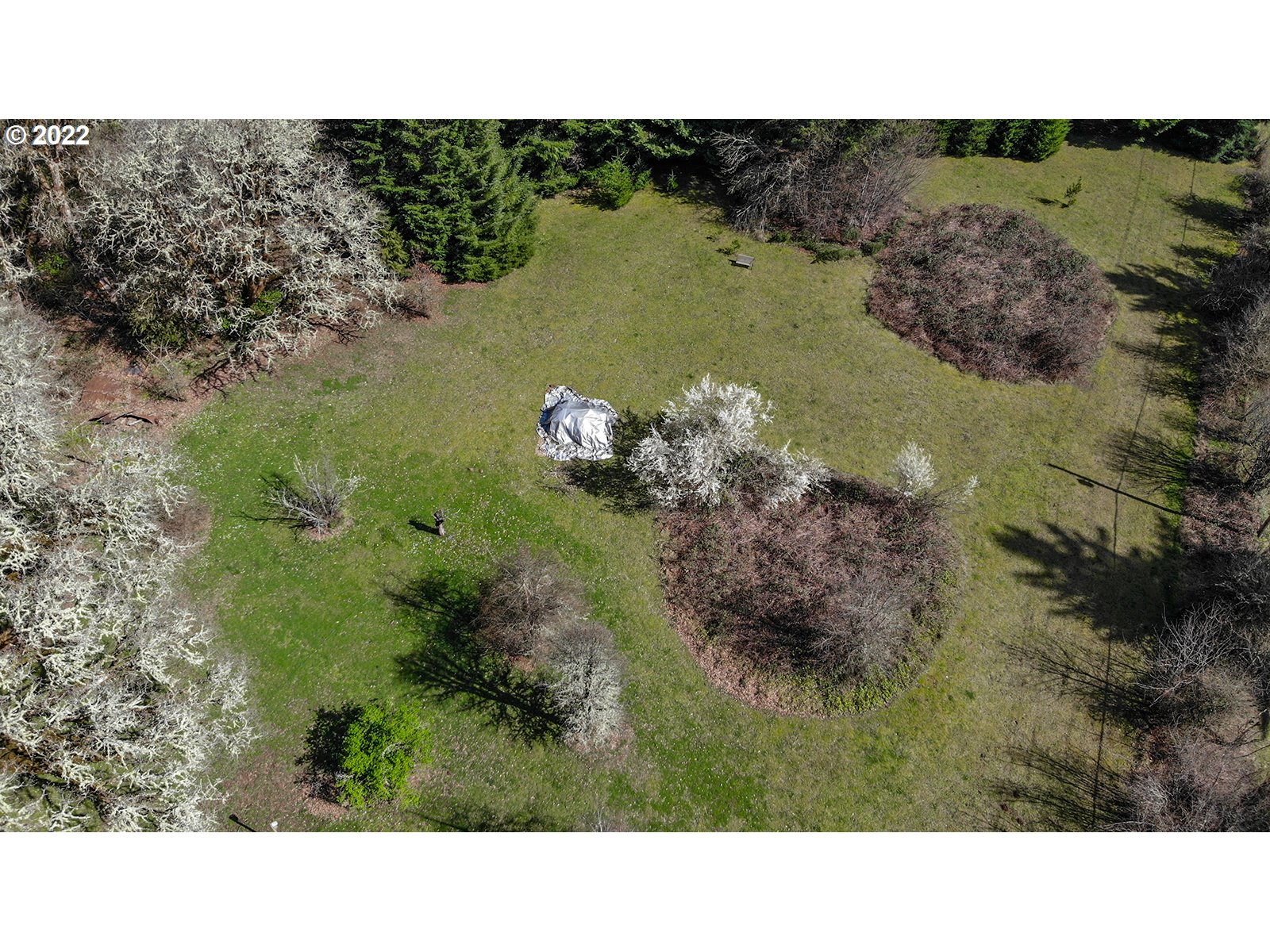 54647 Southwest Patton Valley Road Gaston, OR 97119 - Photo 29 of 29 a open area with a yard