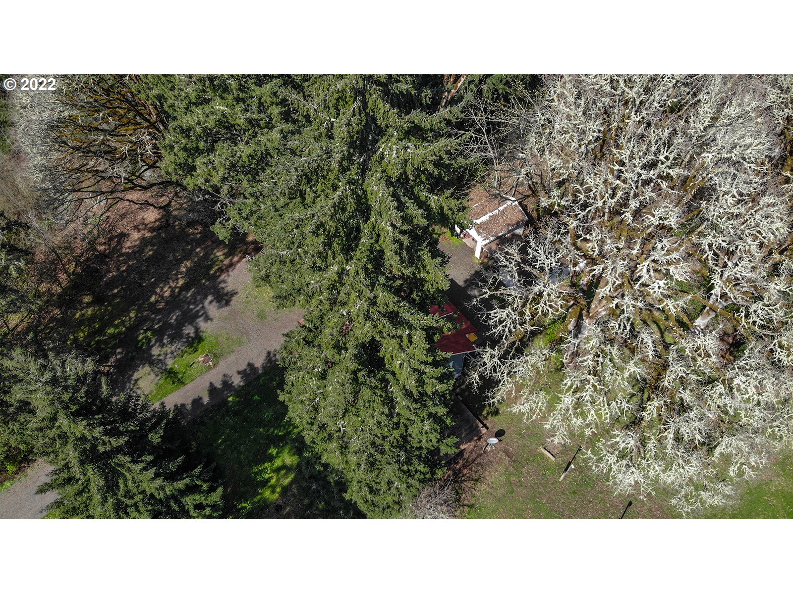 54647 Southwest Patton Valley Road Gaston, OR 97119 - Photo 5 of 29 a picture of a city