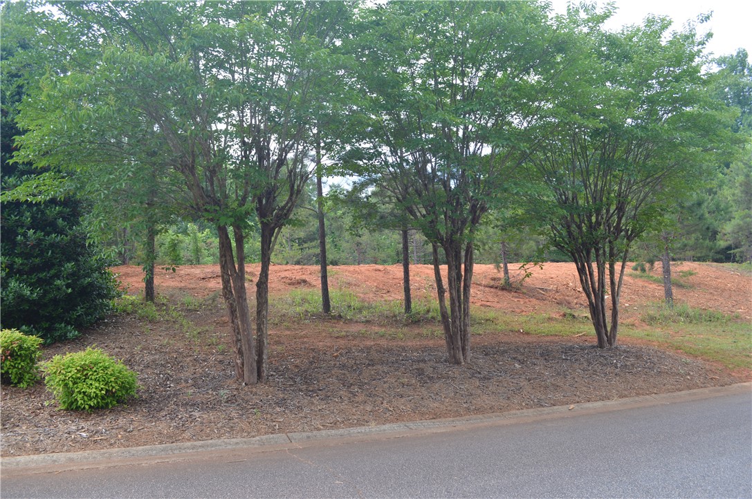 Lot 82 Ridgeside Court West Union, SC 29696 - Photo 3 of 16