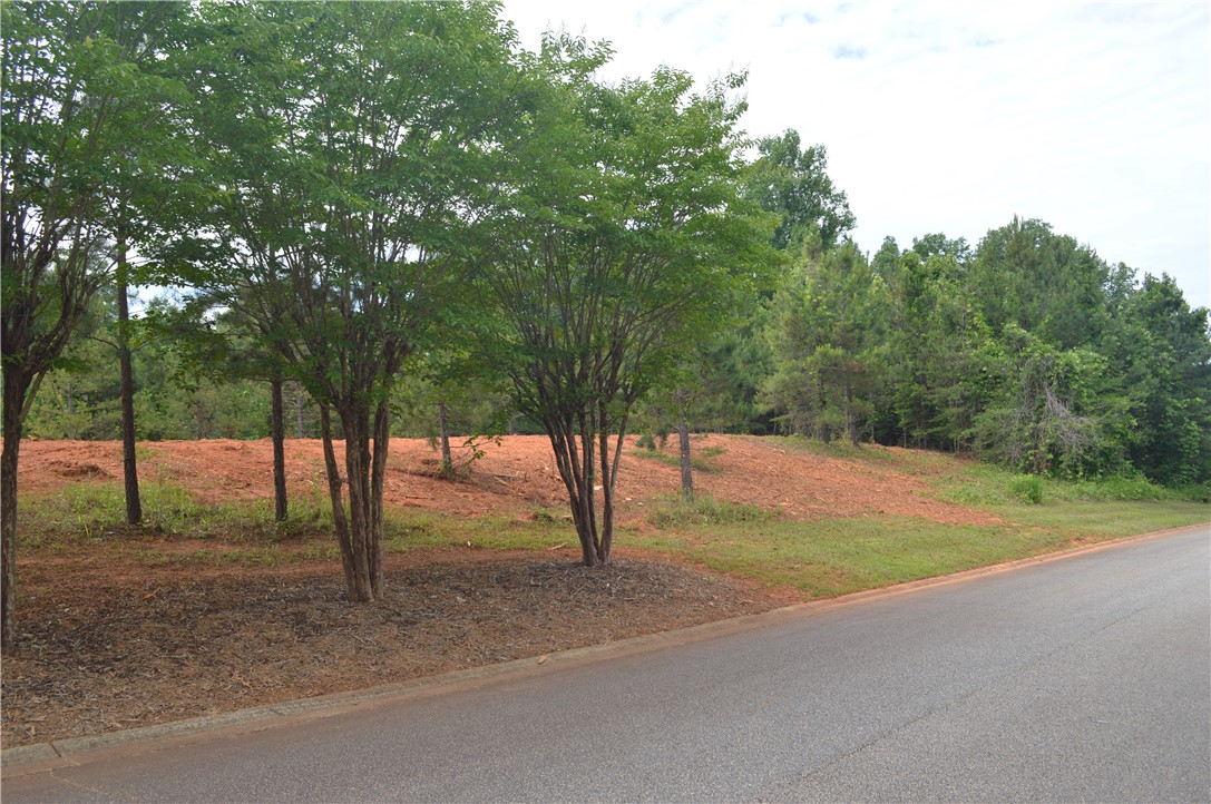 Lot 82 Ridgeside Court West Union, SC 29696 - Photo 4 of 16