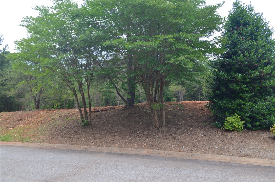 Lot 82 Ridgeside Court West Union, SC 29696 - Photo 6 of 16