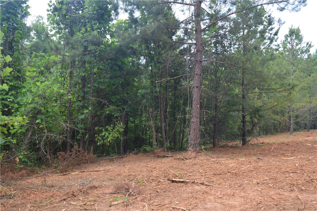 Lot 82 Ridgeside Court West Union, SC 29696 - Photo 7 of 16