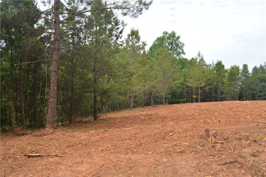 Lot 82 Ridgeside Court West Union, SC 29696 - Photo 8 of 16
