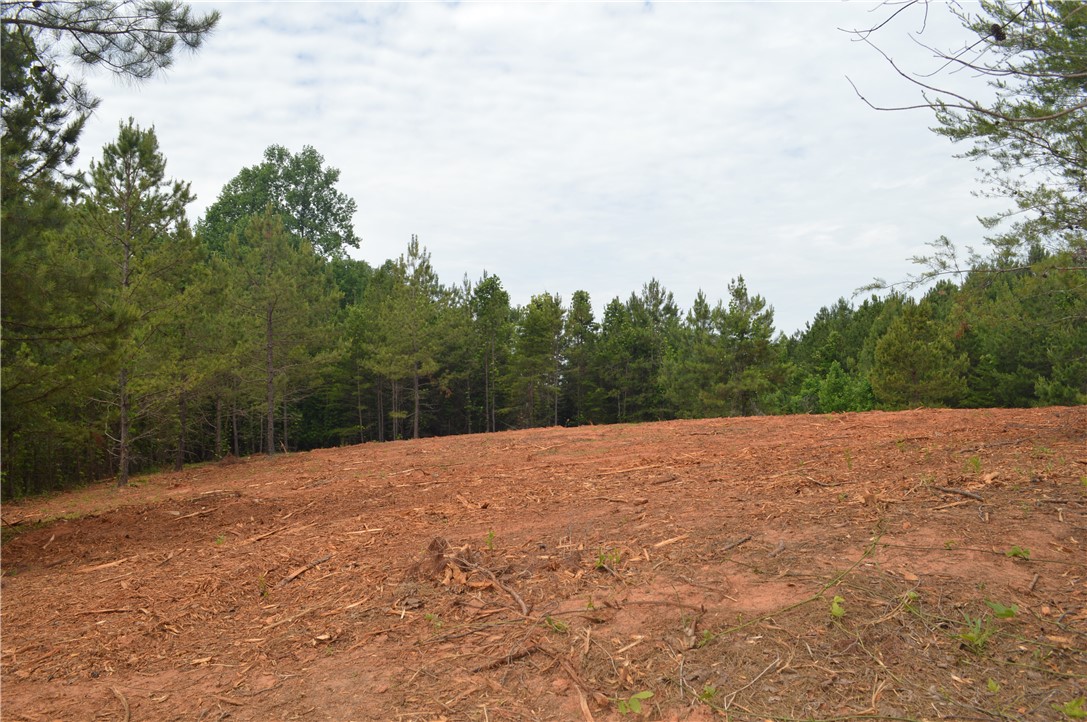 Lot 82 Ridgeside Court West Union, SC 29696 - Photo 9 of 16