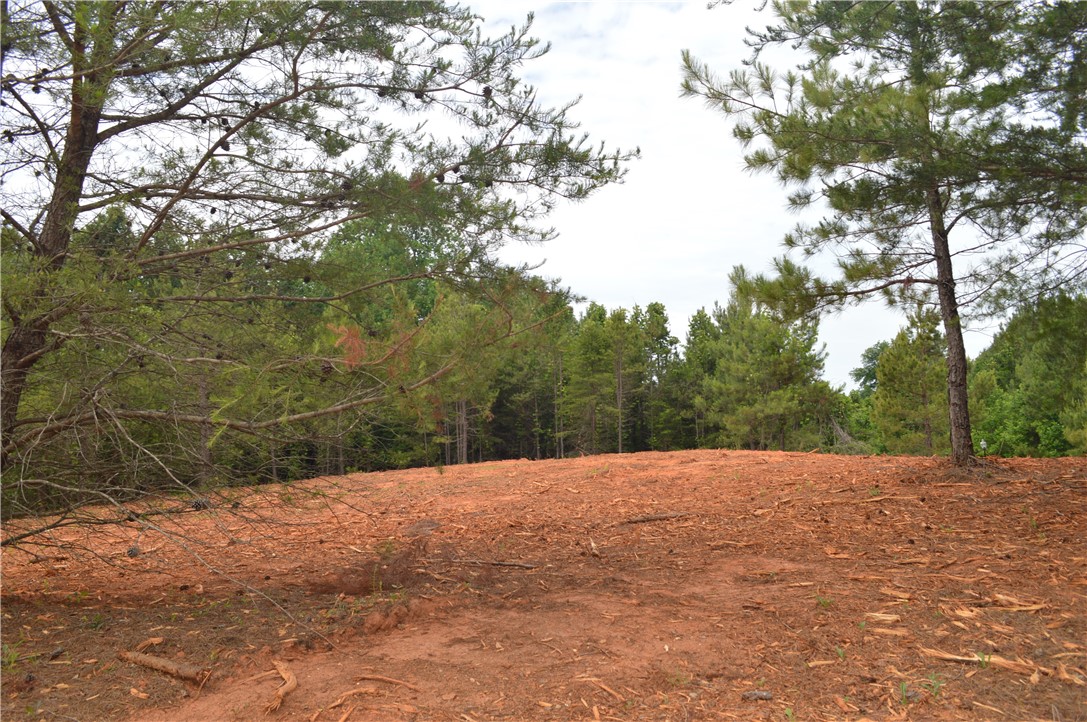 Lot 82 Ridgeside Court West Union, SC 29696 - Photo 10 of 16