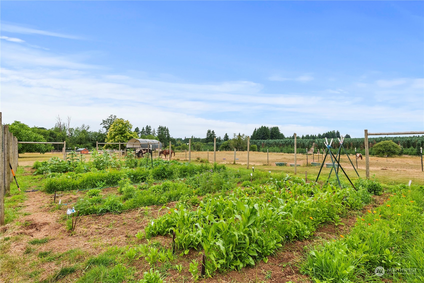 169 Conradi Road Winlock, WA 98596 - Photo 26 of 38 a view of a garden with an outdoor space