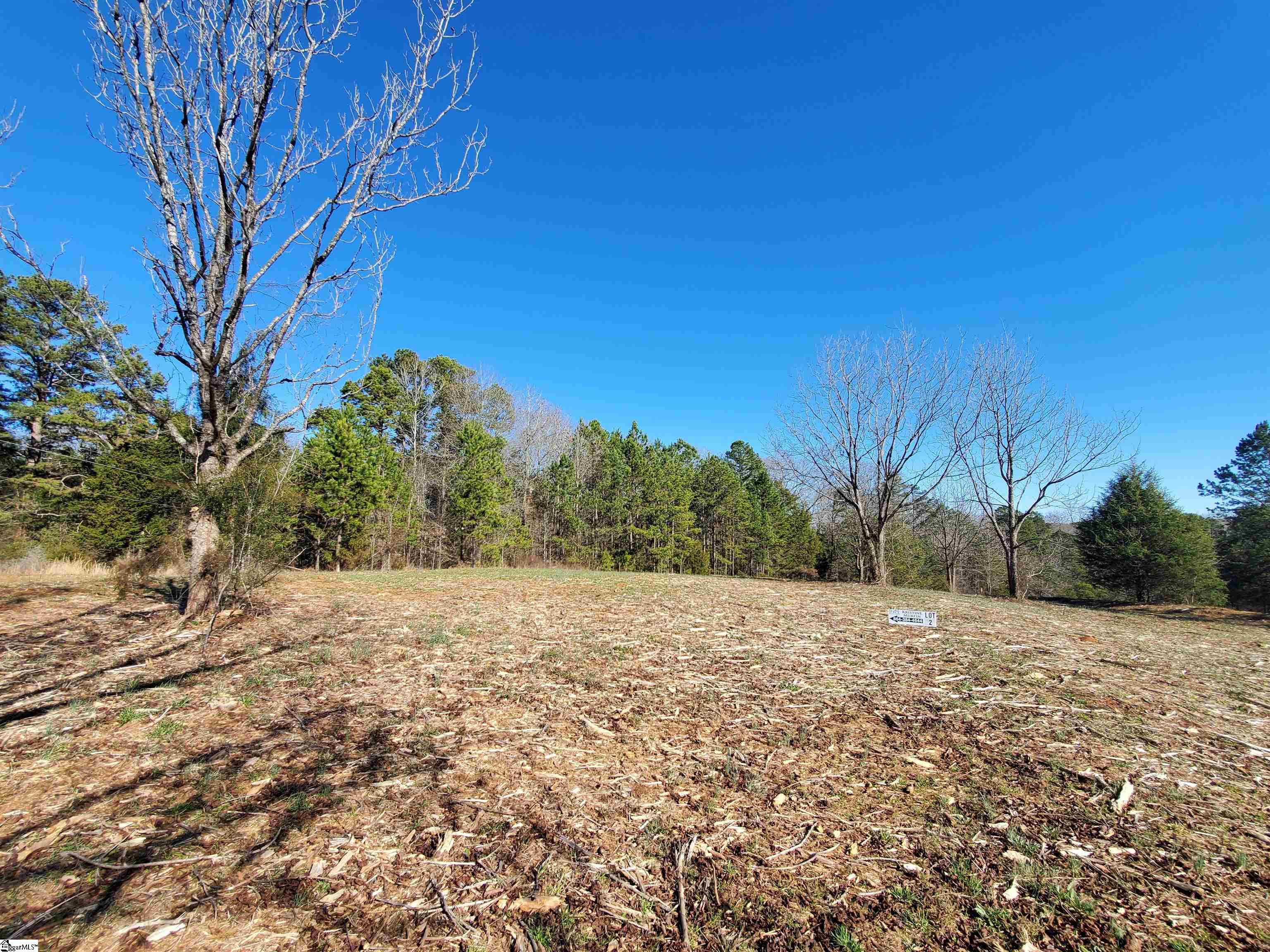 2 Ritchie Road, Unit LOT 2PENNINGTON FARMS) Fountain Inn, SC 29644 - Photo 3 of 20