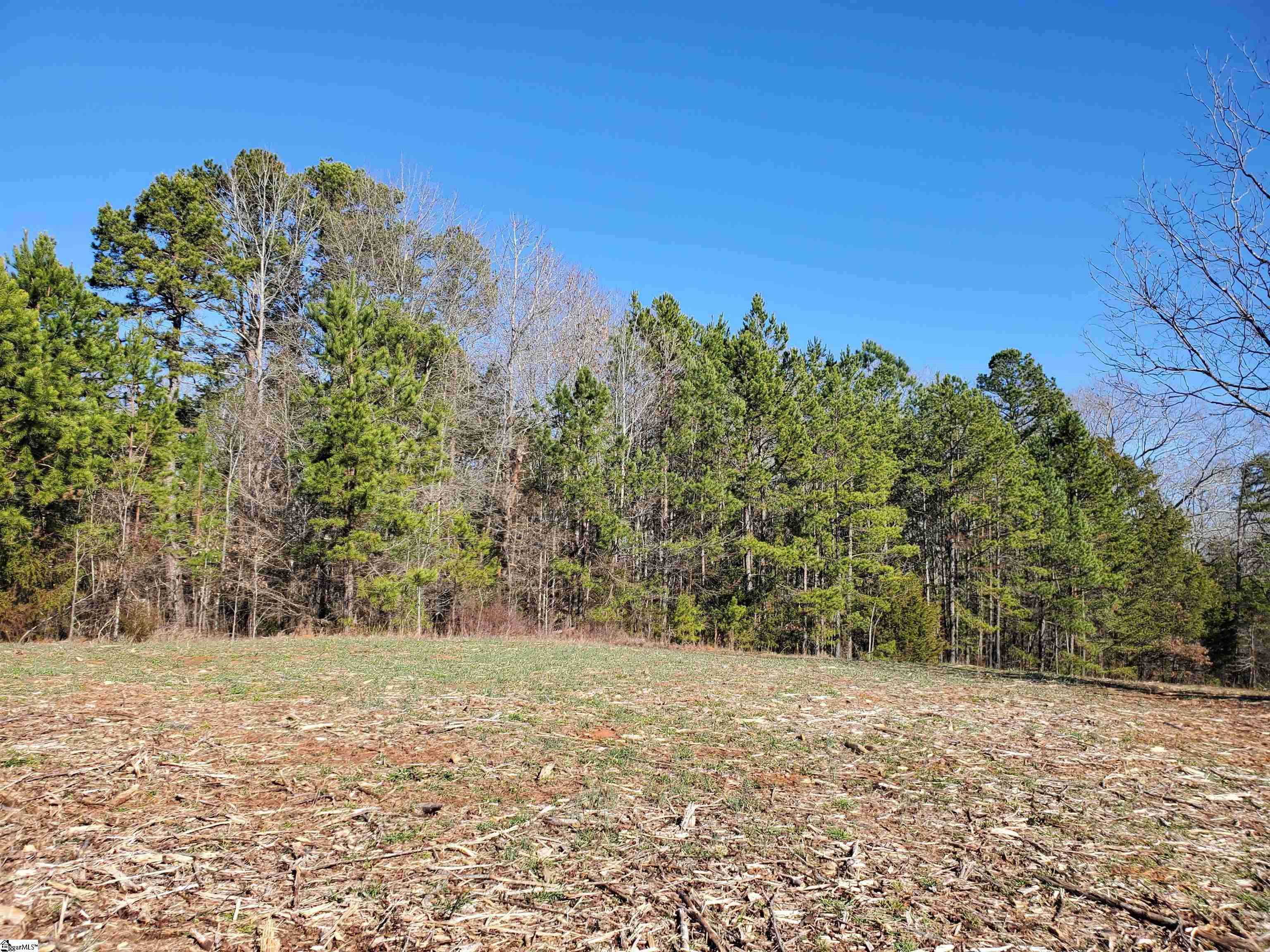 2 Ritchie Road, Unit LOT 2PENNINGTON FARMS) Fountain Inn, SC 29644 - Photo 4 of 20