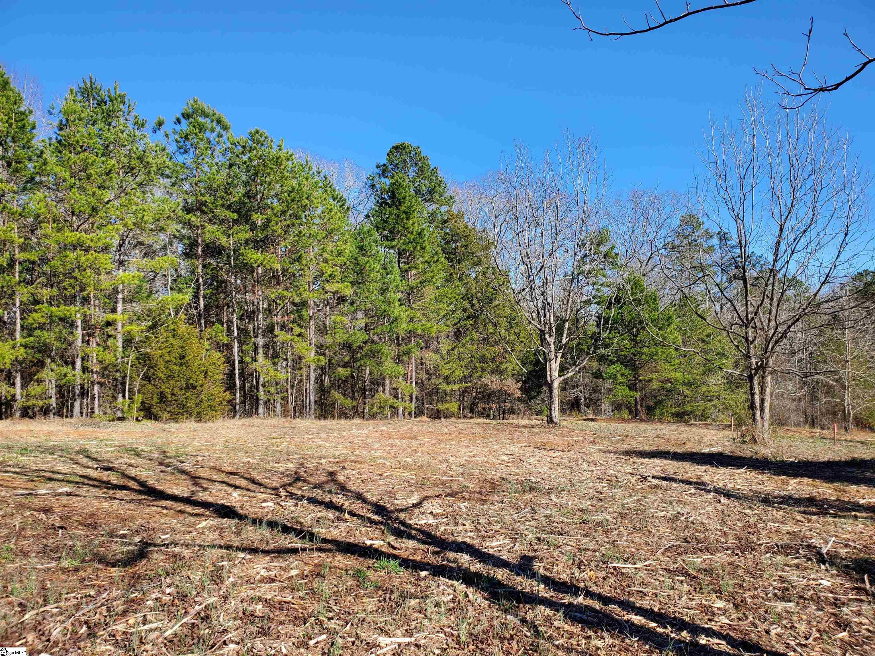 2 Ritchie Road, Unit LOT 2PENNINGTON FARMS) Fountain Inn, SC 29644 - Photo 5 of 20