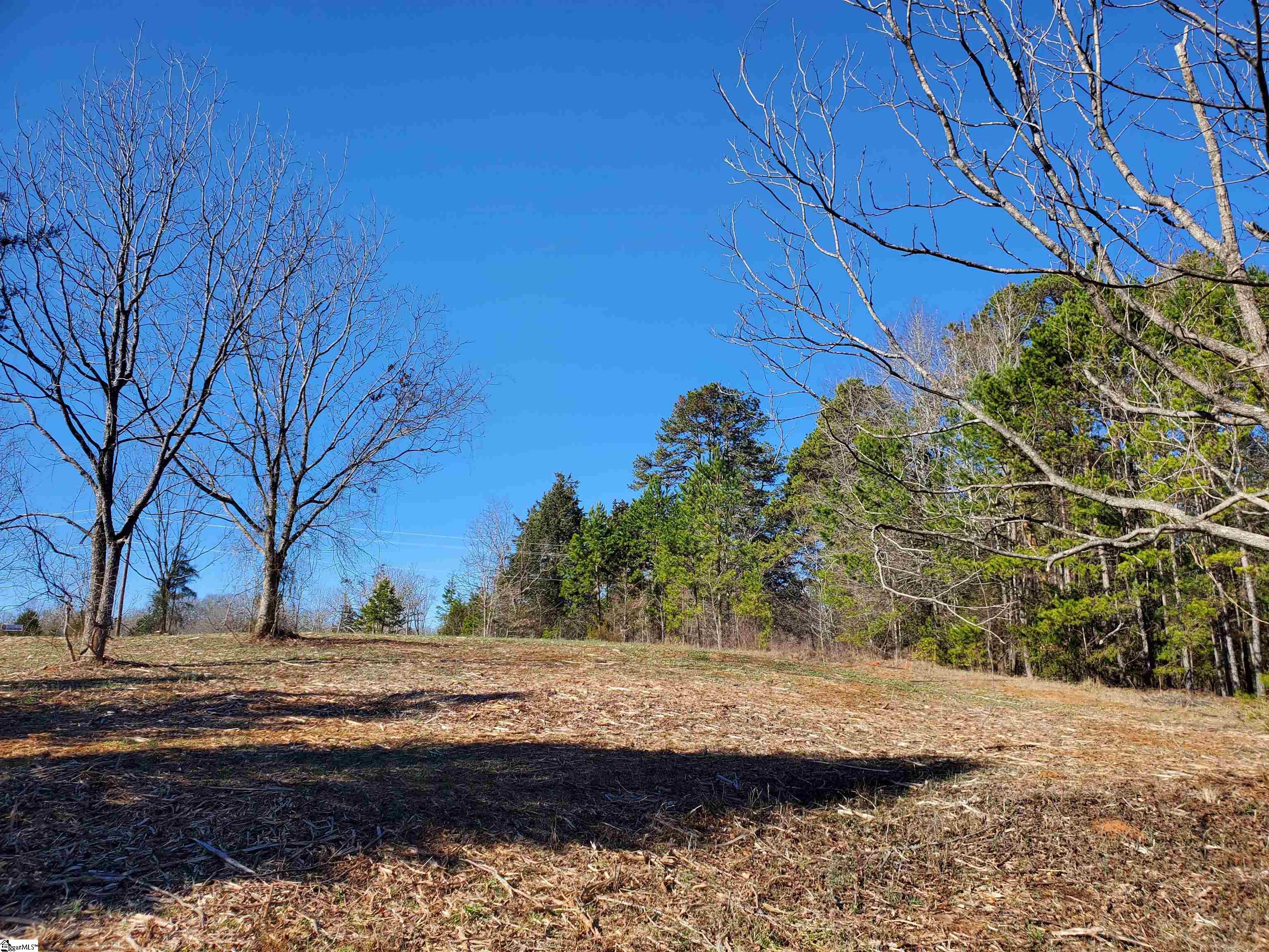 2 Ritchie Road, Unit LOT 2PENNINGTON FARMS) Fountain Inn, SC 29644 - Photo 6 of 20