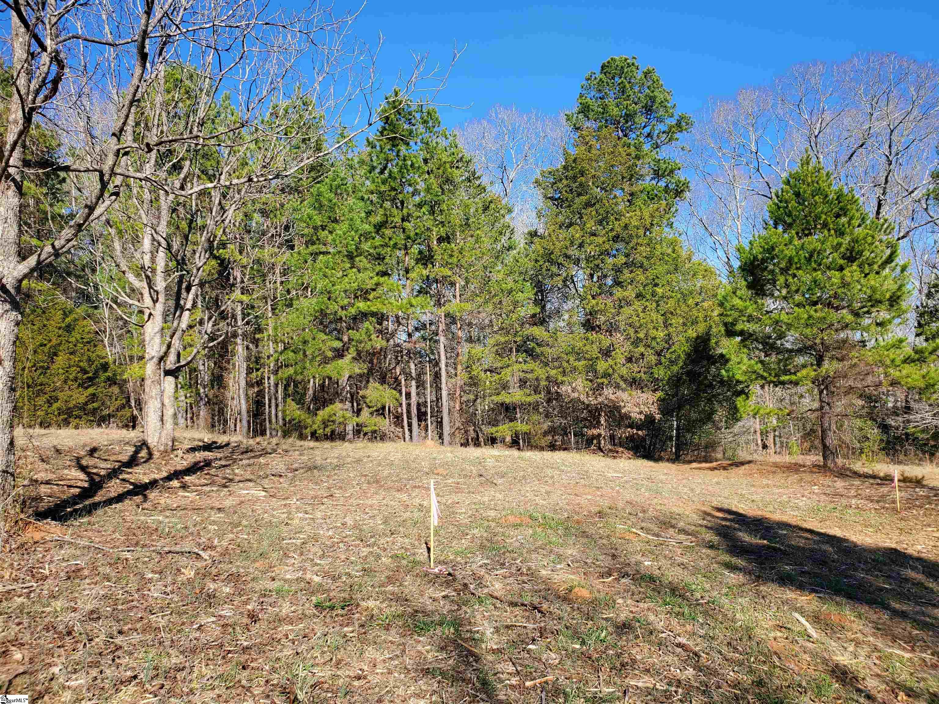 2 Ritchie Road, Unit LOT 2PENNINGTON FARMS) Fountain Inn, SC 29644 - Photo 7 of 20
