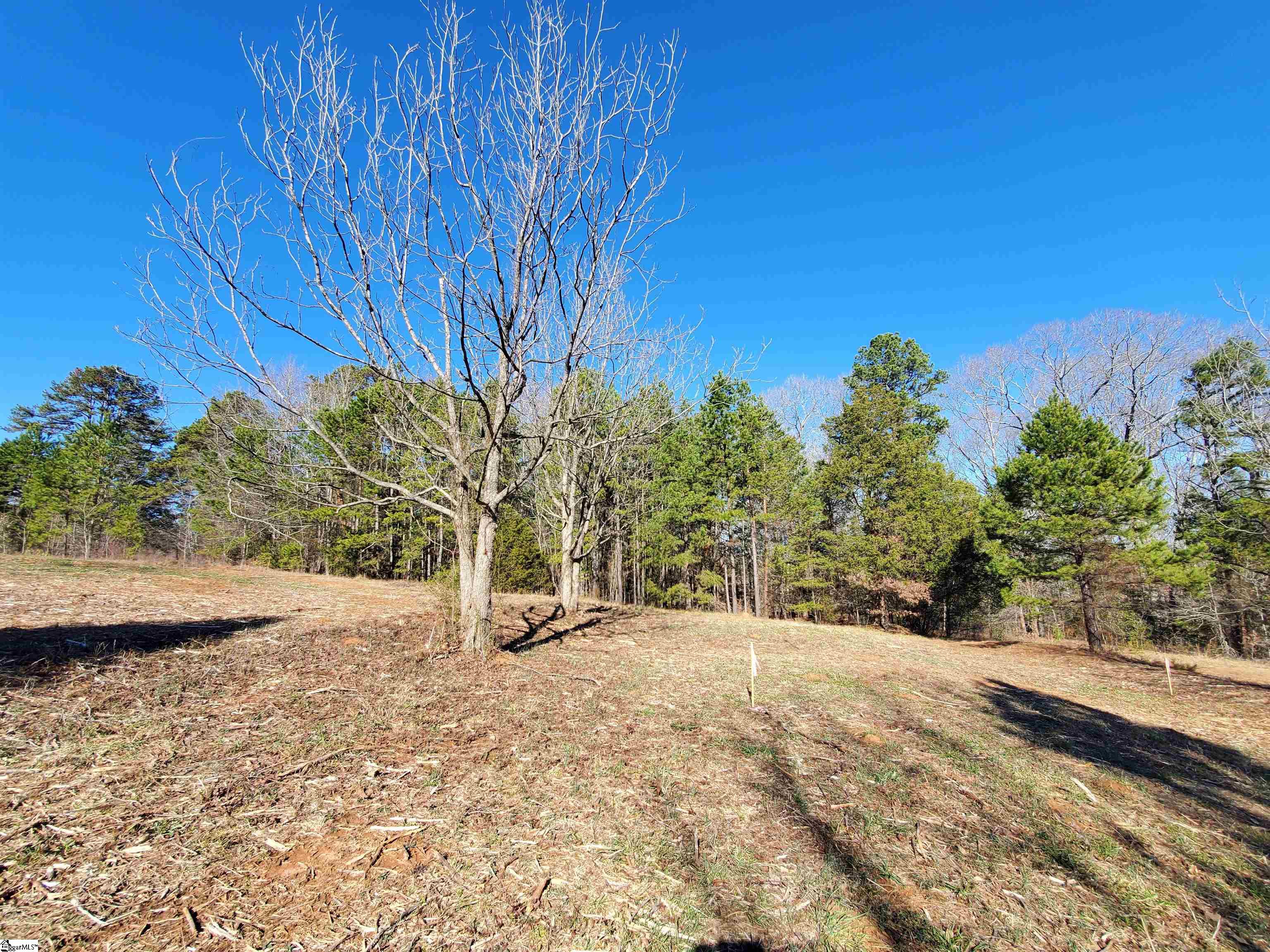 2 Ritchie Road, Unit LOT 2PENNINGTON FARMS) Fountain Inn, SC 29644 - Photo 8 of 20