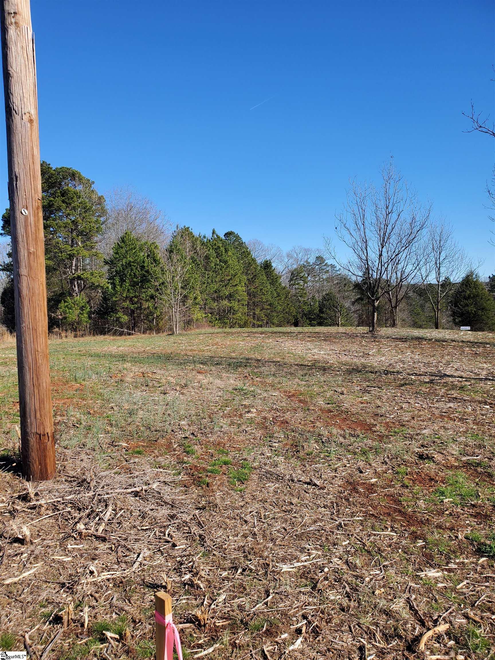 2 Ritchie Road, Unit LOT 2PENNINGTON FARMS) Fountain Inn, SC 29644 - Photo 9 of 20