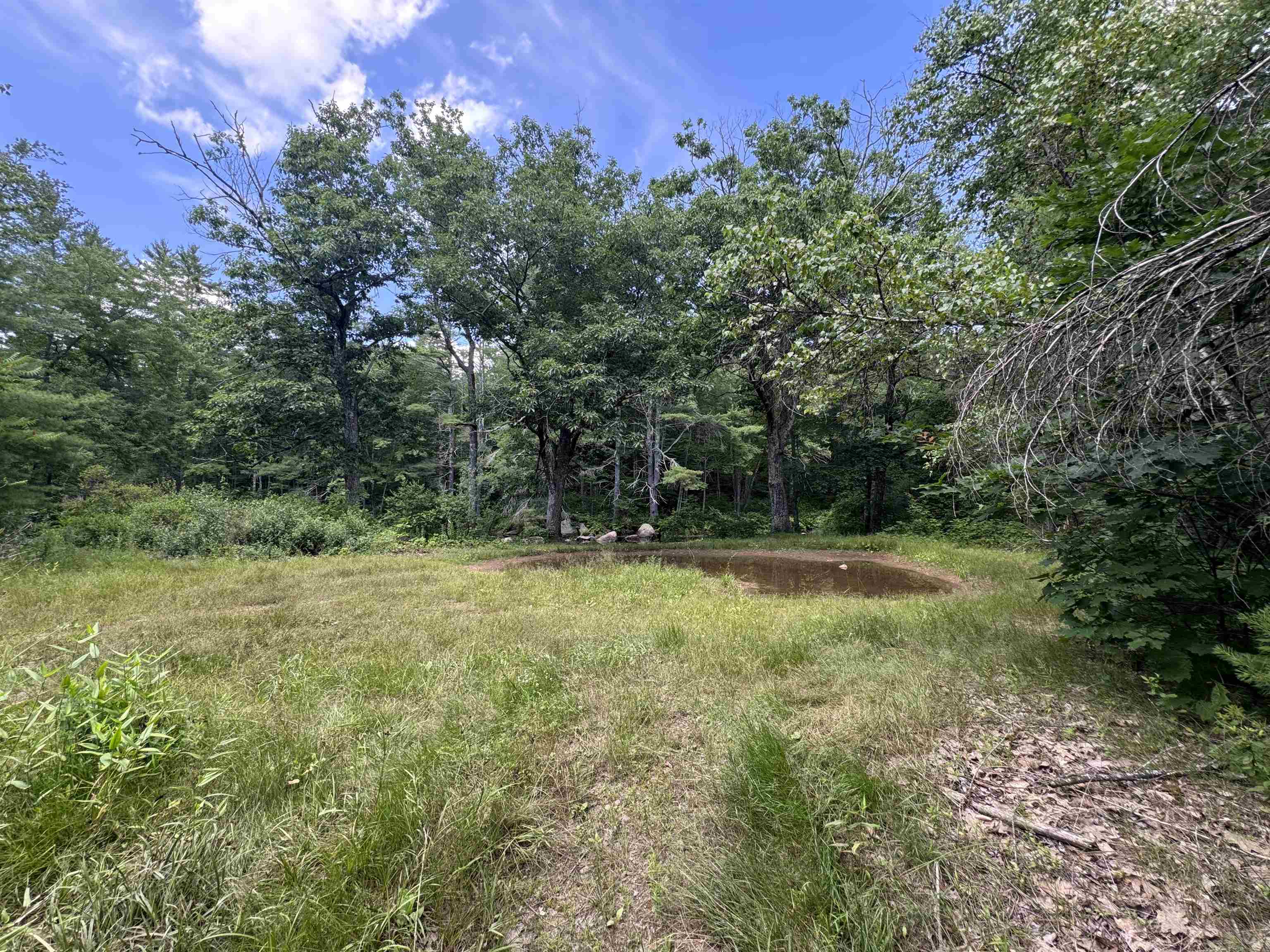 140 Parker Mountain Road Barrington, NH 03825 - Photo 3 of 12