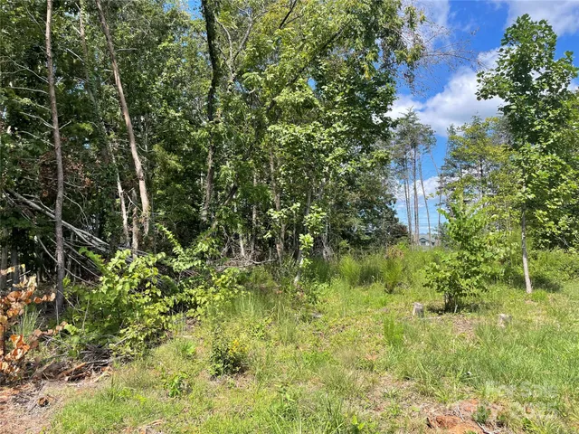 $55,000 | 0 Carriage Drive, Rutherfordton, NC 28139