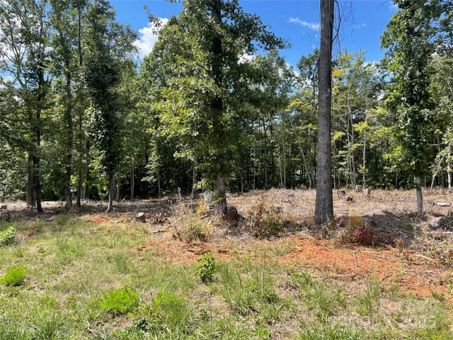 $55,000 | 0 Carriage Drive, Rutherfordton, NC 28139