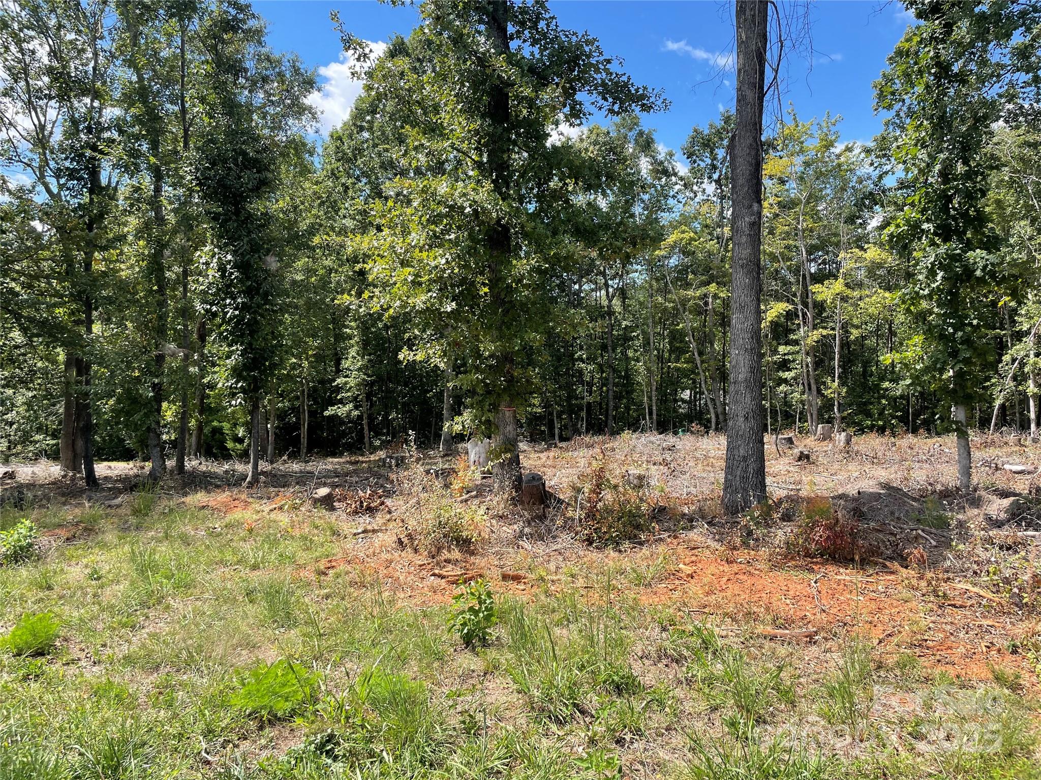 0 Carriage Drive Rutherfordton, NC 28139 - Photo 5 of 11