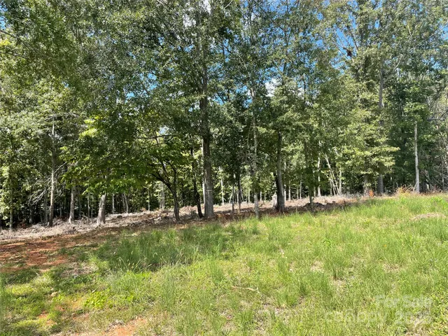 $55,000 | 0 Carriage Drive, Rutherfordton, NC 28139