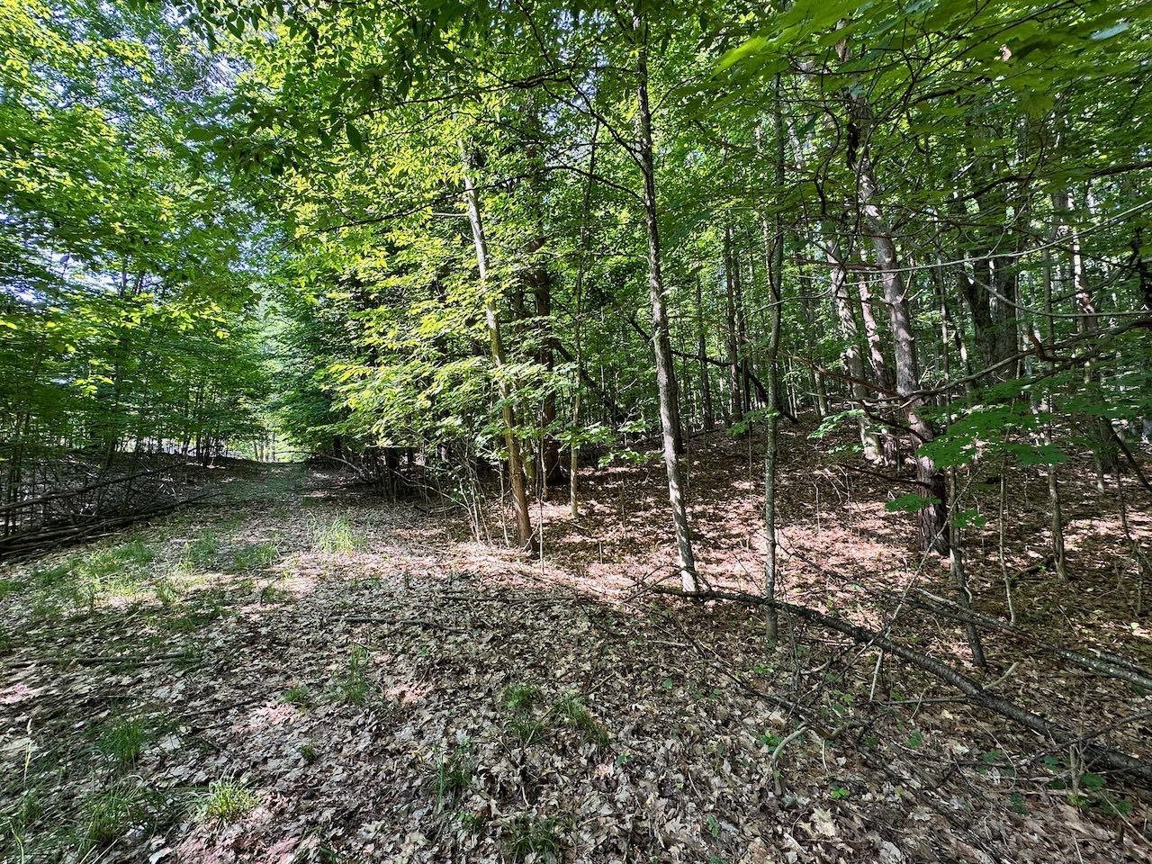 0 John R Rodgers Road Bellaire, MI 49615 - Photo 20 of 25