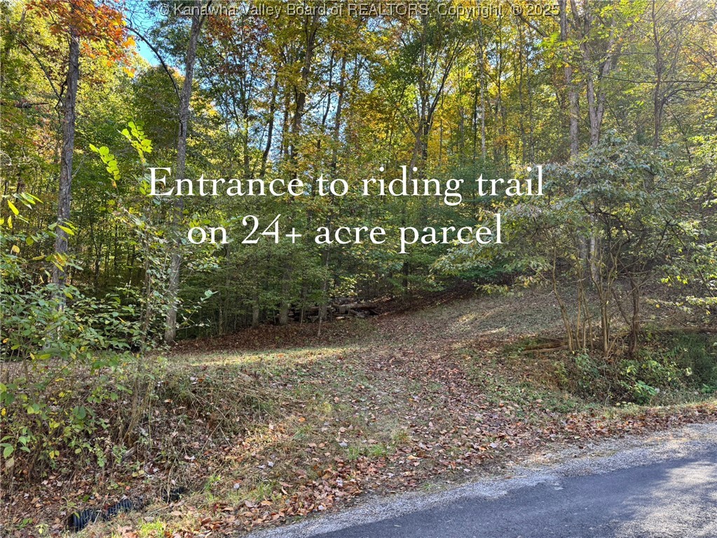 98 Coco Road Elkview, WV 25071 - Photo 5 of 35 Gallery Image 5