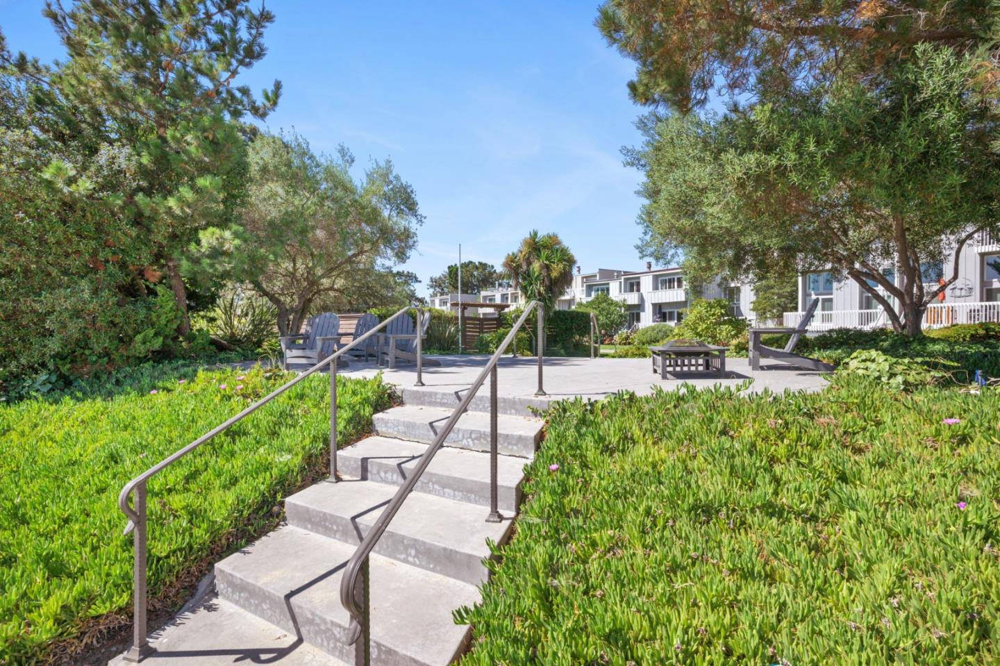 425 Anchor Road, Unit 317 San Mateo, CA 94404 - Photo 44 of 53 a view of a park with large trees