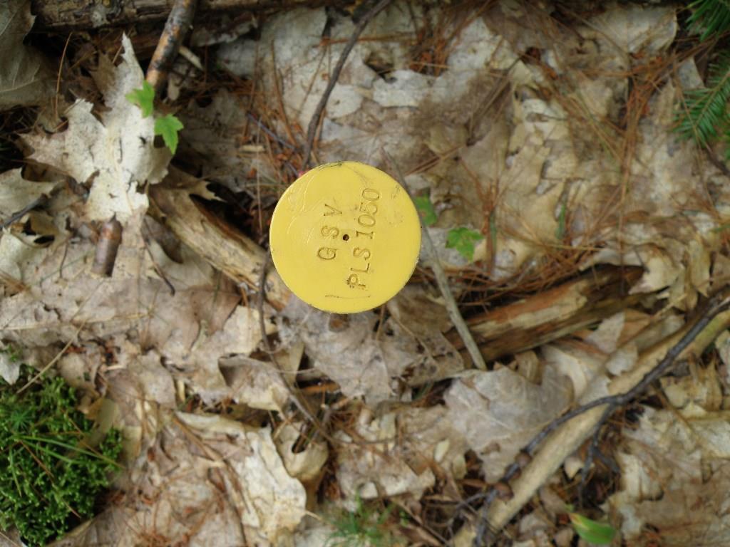 Lot 5 Oak Point Road Greenbush, ME 04418 - Photo 2 of 11 Photo