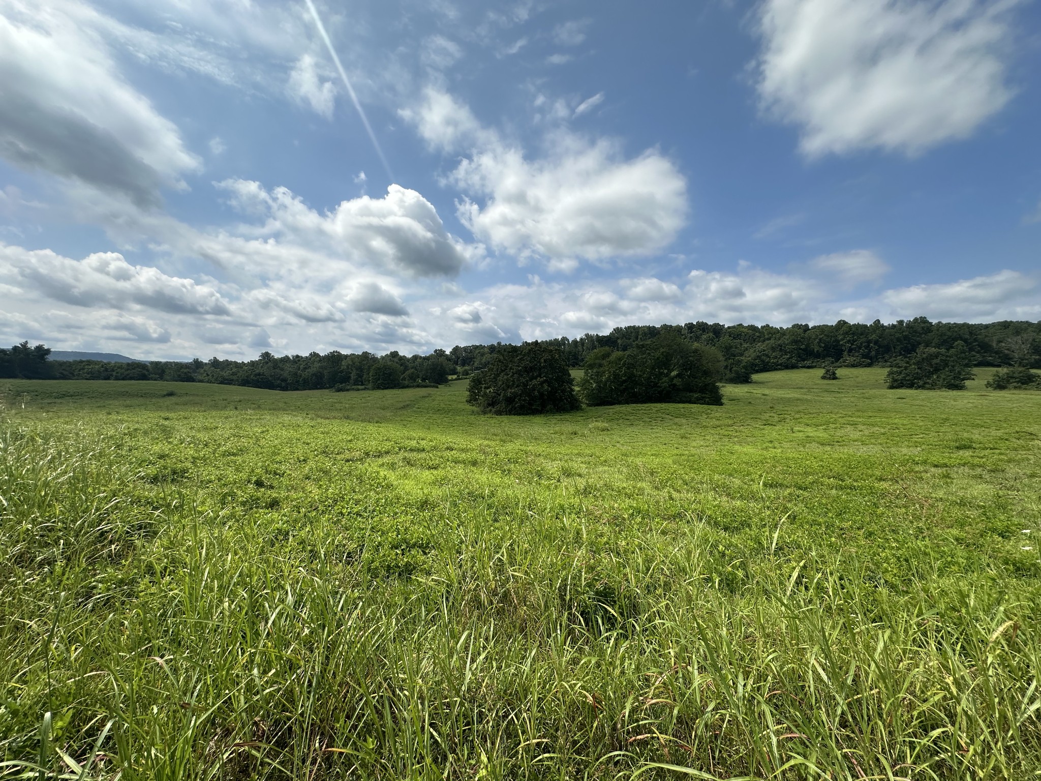0 Plum Creek Road Sparta, TN 38583 - Photo 8 of 16 Gallery Image 8