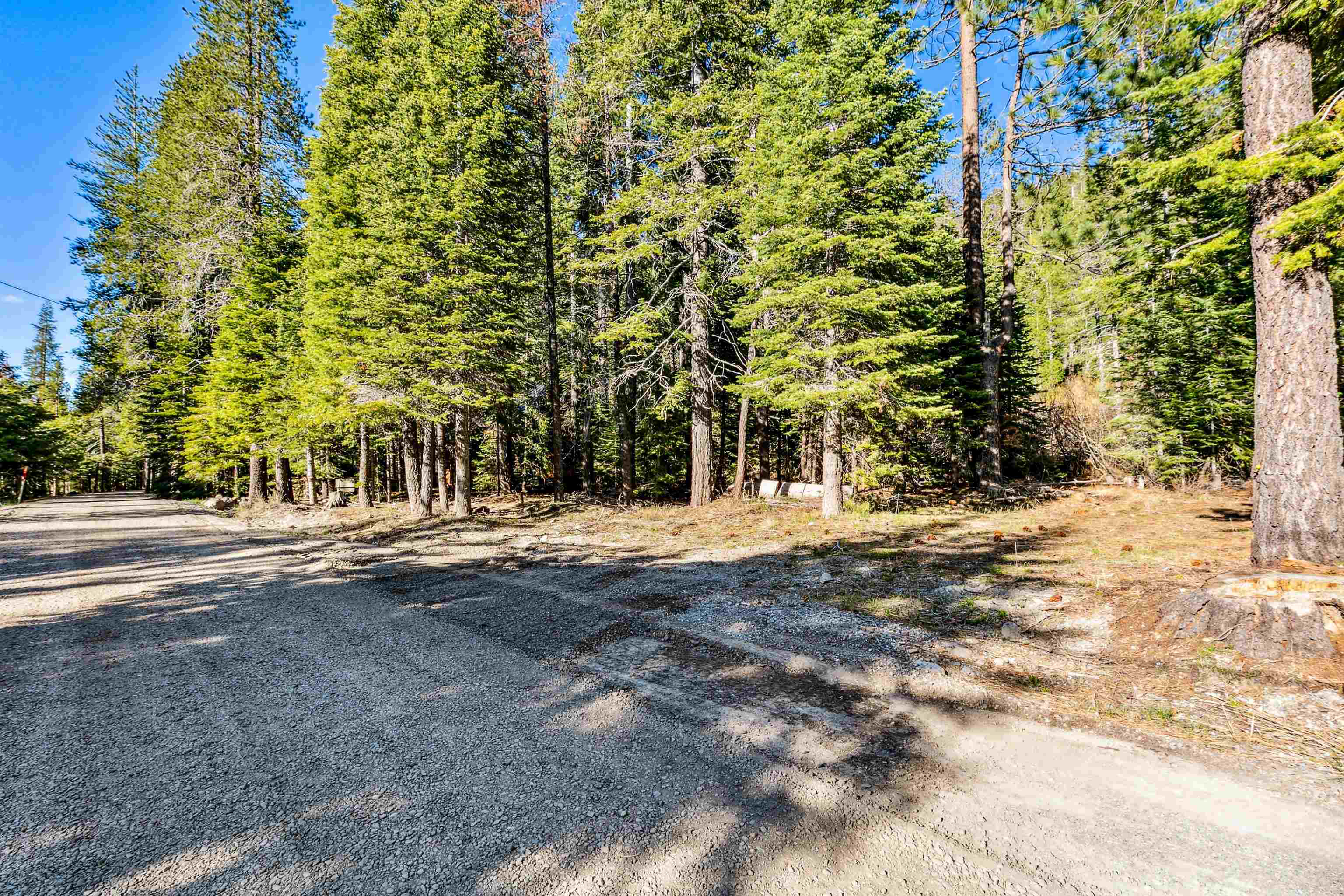 7898 River Road Truckee, CA 96161 - Photo 9 of 20 a view of road and trees