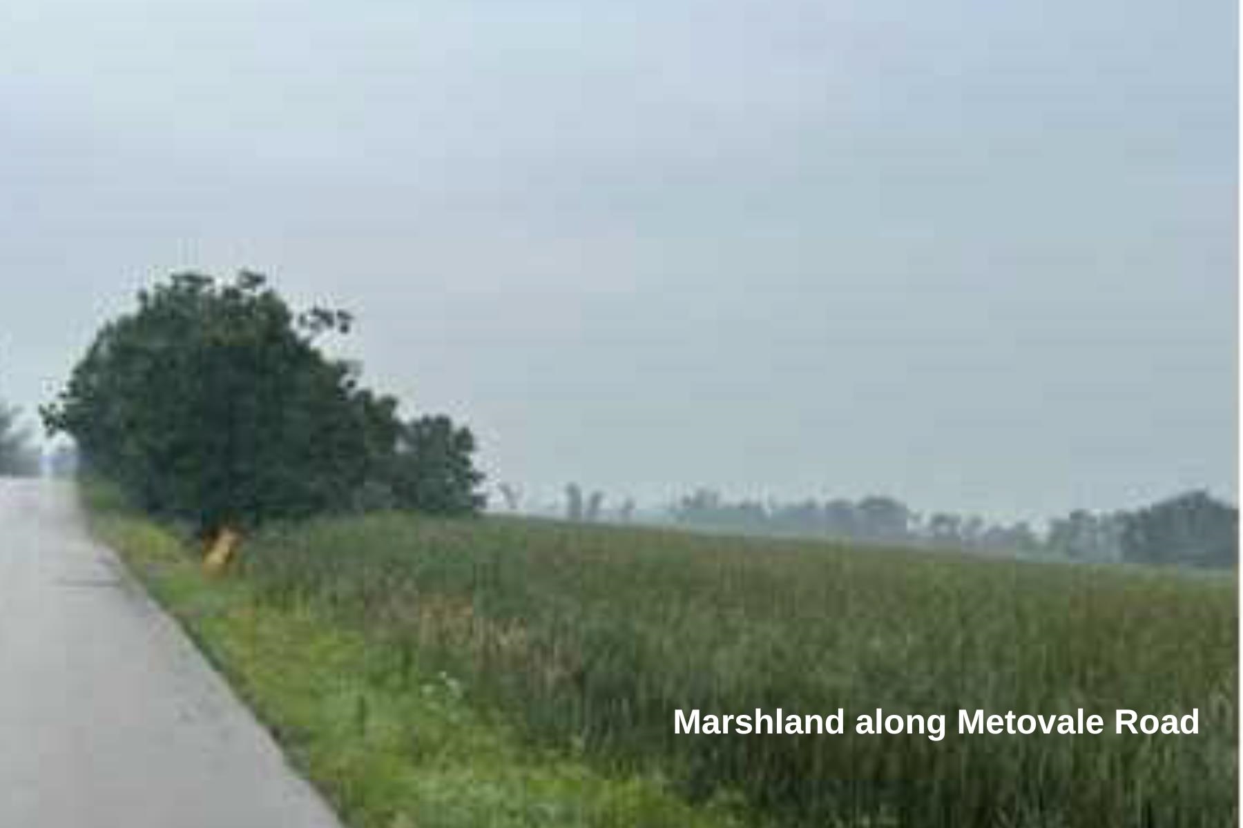 N5952 Metovale Road Brandon, WI 53919 - Photo 2 of 11