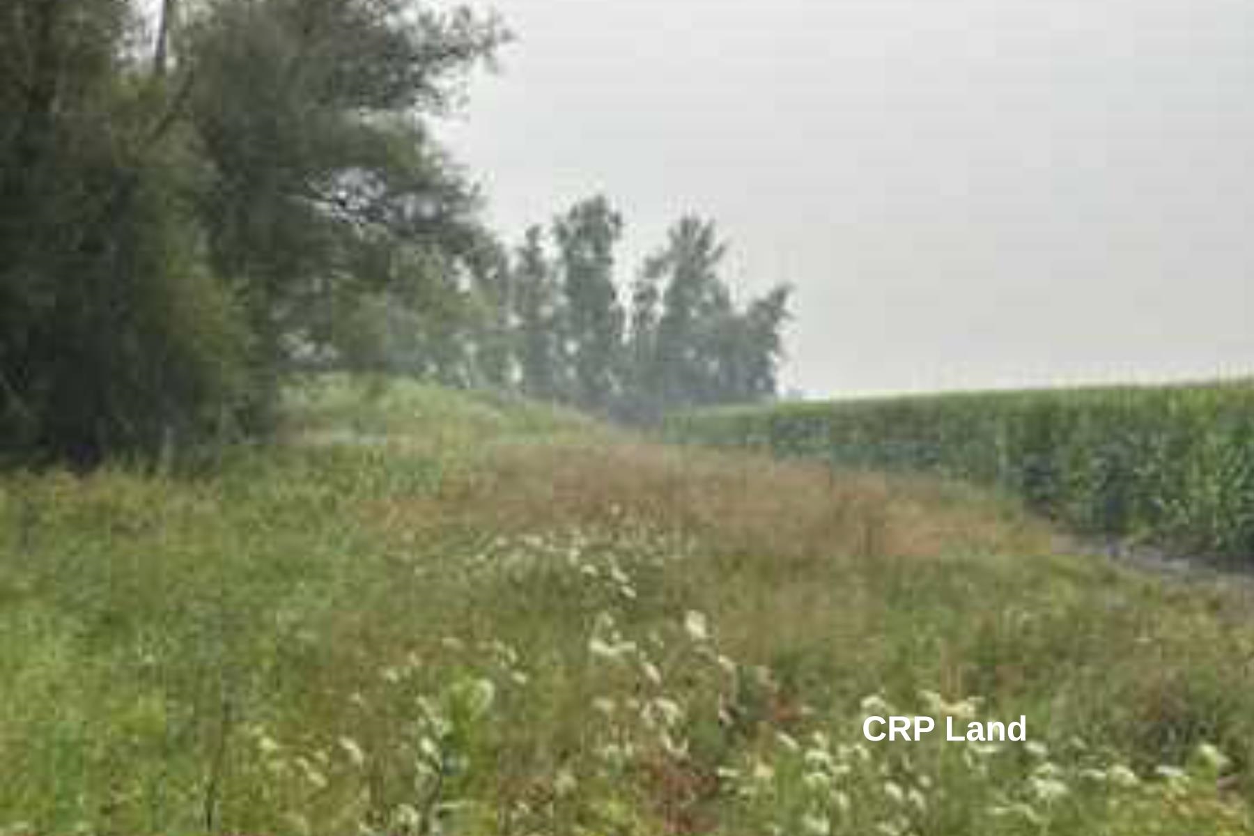 N5952 Metovale Road Brandon, WI 53919 - Photo 5 of 11