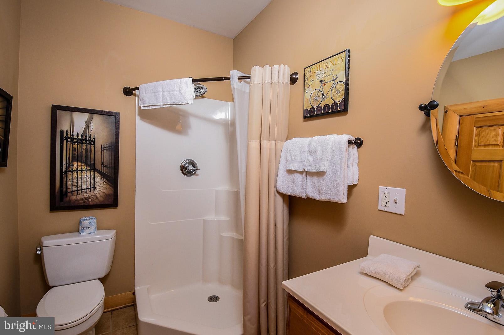 646 Mountaintop Road McHenry, MD 21541 - Photo 17 of 30 Bath