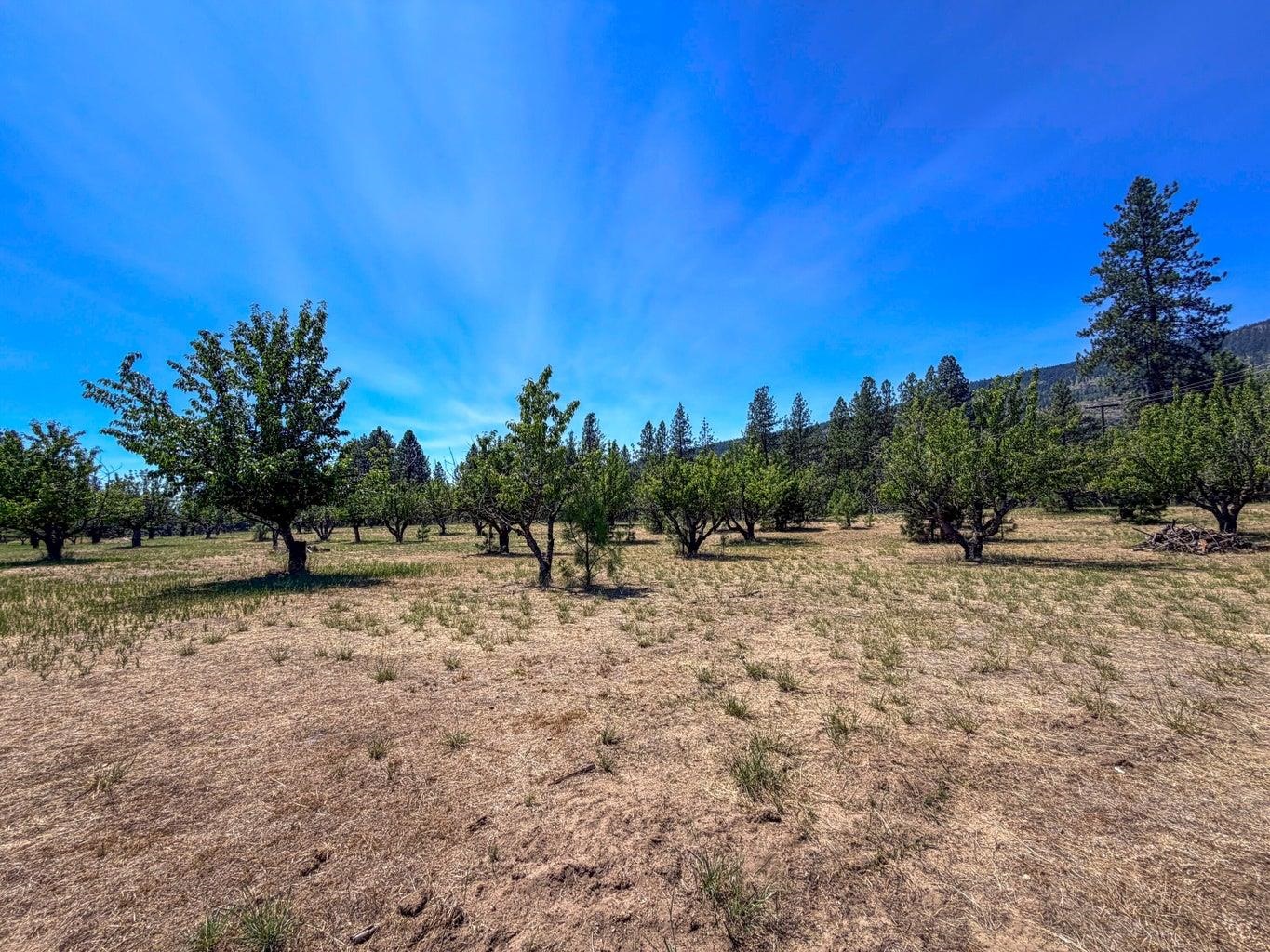 1240 Peachcrest Road Kettle Falls, WA 99141 - Photo 9 of 24