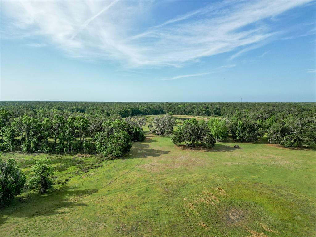 772b Webster Webster, FL 33597 - Photo 1 of 44