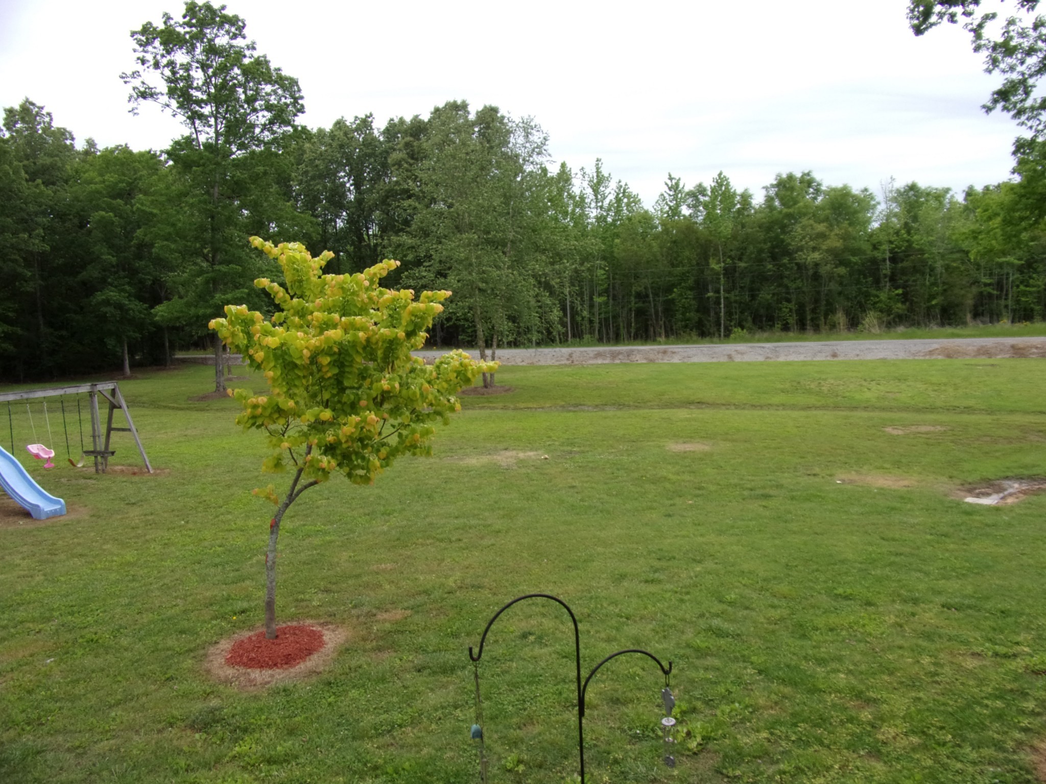 557 Maple Bend Road Winchester, TN 37398 - Photo 21 of 34 Gallery Image 21