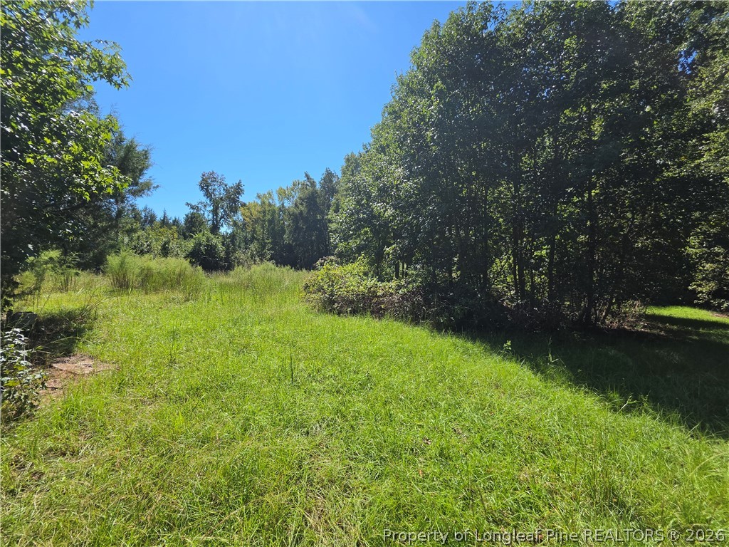 9685 Giles Road Linden, NC 28356 - Photo 4 of 14 Gallery Image 4