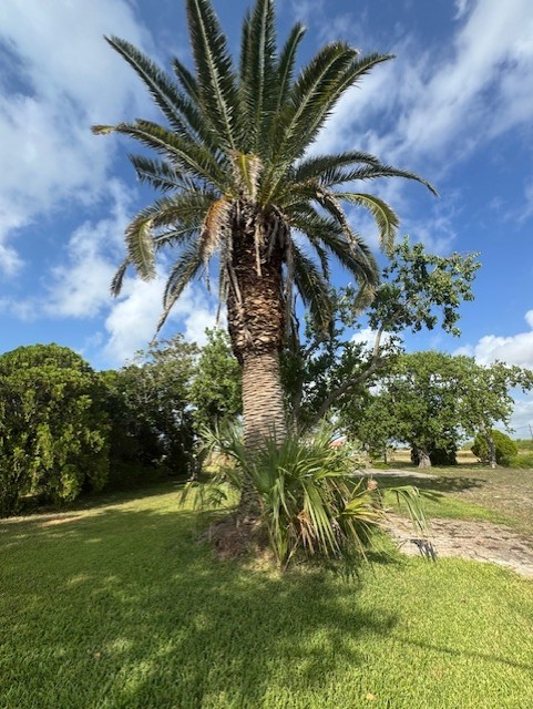 93 2nd Street Palacios, TX 77465 - Photo 11 of 24 a view of a yard