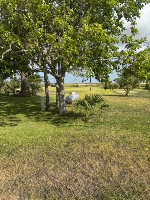 93 2nd Street Palacios, TX 77465 - Photo 5 of 24 a view of a field with an trees