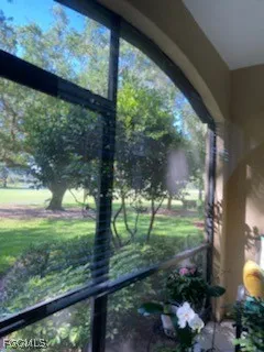 a view of a garden from a window