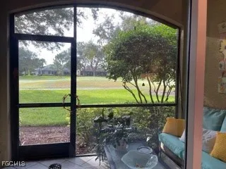 a view of tree trees in a backyard