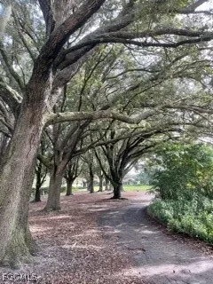 a big yard with lots of green space and trees